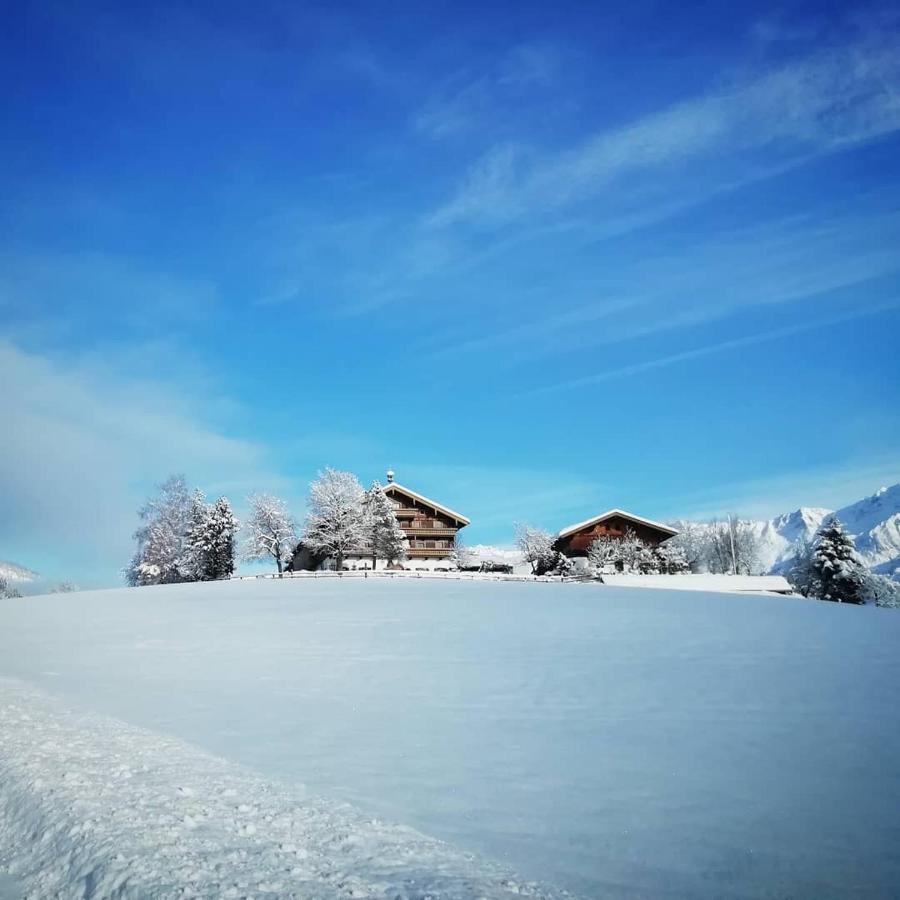 Vorderkasbichlhof Villa Saalfelden Dış mekan fotoğraf